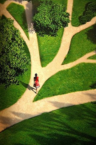 2024. 07. 21. – A végső célig! Az én ösvényem 6.(bejezező rész) – Dr. Kálmán Csaba