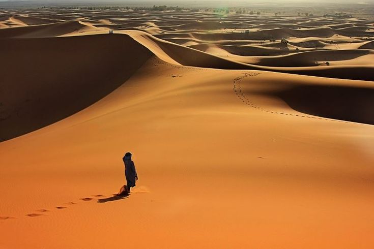 Read more about the article 2025. 05. 25. – A bátorság ereje hőssé tehet bennünket is! – Dr. Kálmán Csaba