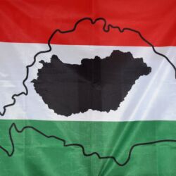 ????????????????????????????????????